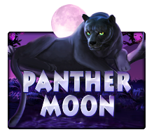 Joker Gaming Slot